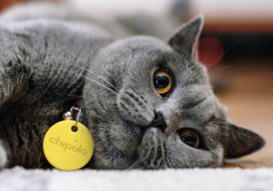 Para el día a día 🙌🏻